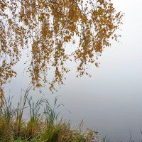 Туман на осенней реке :: Валерий Иванович