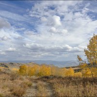 Осень :: **** vedin