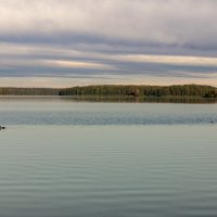 Чигири́нское водохранилище (белор. Чыгіры́нскае вадасховішча) :: Игорь Сикорский