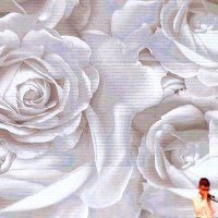 "Белые розы". :: Егор Бабанов
