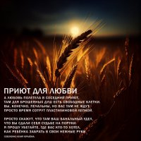 *4* :: Виктор  /  Victor Соболенко  /  Sobolenko