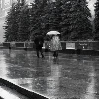 В дождь к  могиле Неизвестного Солдата. :: Татьяна Помогалова