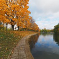 Осень в парке Дружба :: Евгений Седов