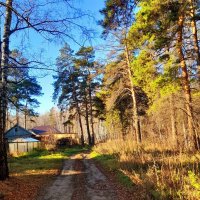 За околицей  осень . :: Мила Бовкун