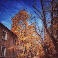 Осенний город... :: Алексей Архипов