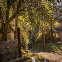 Morning Light In Kapnistavi Village :: Fuseboy 