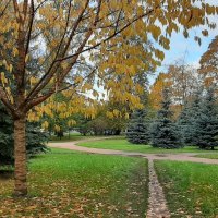 Осенний парк :: Наталья Герасимова