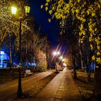 Осенняя аллея ночью :: Dmitry i Mary S