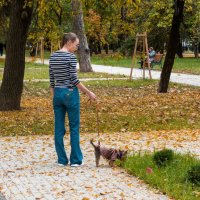 Осень,девушка с собачкой :: Валентин Семчишин