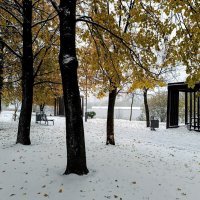 Был снег...да нынче весь вышел... :: Анатолий Колосов