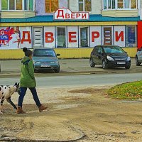 С собакой среди городской сутолки! :: Владимир 