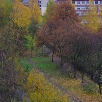 Ноябрь оголяет деревья... :: Юрий Куликов
