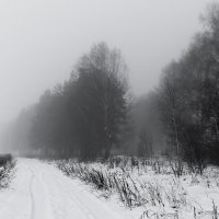 Туман. :: Андрей Андрианов