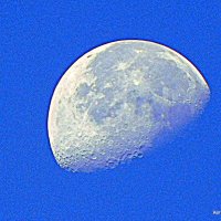 Луна в утреннем небе. :: Валерьян Запорожченко