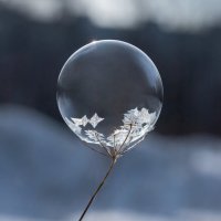 Пузырь :: Андрей Пристяжнюк