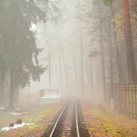 Путь в туман :: Андрей Снегерёв