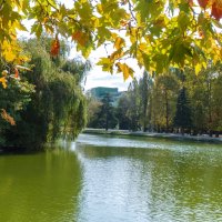Осень в Гагаринском парке :: Валентин Семчишин
