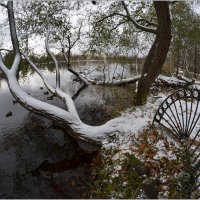 Ольгин пруд-первый снег :: Николай Кувшинов