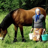 Лжди  села :: олег свирский 