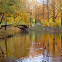 Золотая осень у любимого мостика... :: Sergey Gordoff