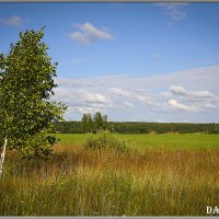 Родные просторы. :: Александр Дмитриев