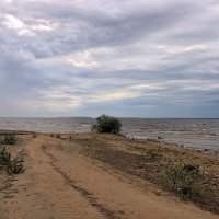 Предчувствие. :: веселов михаил 