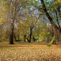 Золотая осень в парке. :: Нина Сироткина 