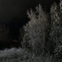Ночной пейзаж :: Сергей Шаврин