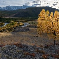 В закатных лучах солнца :: Марина Фомина.