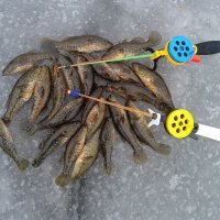 Открыт зимний сезон рыбалки. :: сергей 