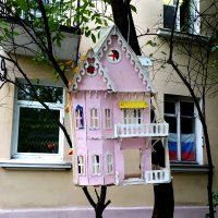 В Петербурге даже кормушки для птиц уникальны! :: Ольга 