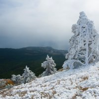 Ай-Петри первый снег :: Сергей Титов