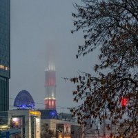 В городе туман :: Сергей Шатохин 