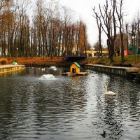 Городской сад в ноябре. :: Милешкин Владимир Алексеевич 