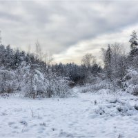 Зимний пейзаж. :: Александр Максимов