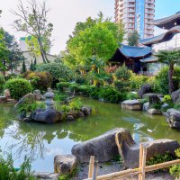 Сочи. Отель Кайлас. Японский парк. Весна 2023 года. :: Николай Николенко
