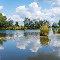 Полдень :: Петр 