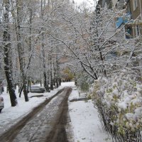 Первый снег :: Елена Семигина