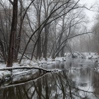 Вот и зима :: Серый 