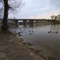 В Брянске на Набережной наконец произошло знаковое событие: новый мост соединил оба берега Десны :: Евгений 