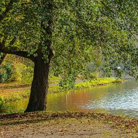 Осень в немецко-французском парке. :: Lucy Schneider 