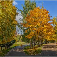 Осень в парке. :: Aleksey Afonin