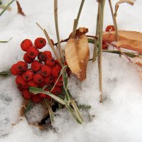 Первый снег. :: Николай Рубцов