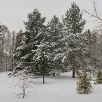 "После снегопада." :: Роланд Дубровский