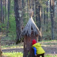 Кто это там жужжит? :: Павел Трунцев