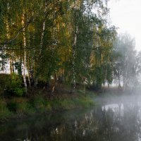 Утро на озере. :: Владимир Безбородов