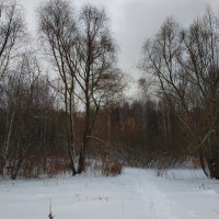 Провожая осень, мы встречаем зиму :: Андрей Лукьянов