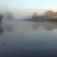 Туманное утро. :: Владимир Безбородов