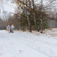 Прогулка по первому снегу :: Александр Синдерёв