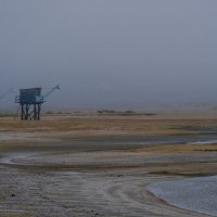 Пляж на Атлантическом берегу в тумане :: Георгий А